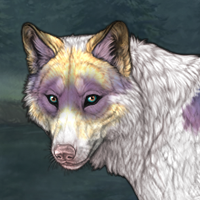 piebald raffle Headshot