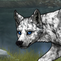 Tierney Headshot