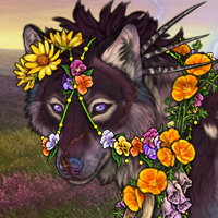 Wolf Headshot