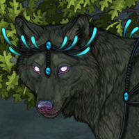 Kelpie Headshot