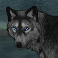 Skoll Headshot