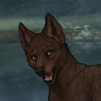 male pup Headshot