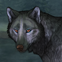 Lupos Headshot