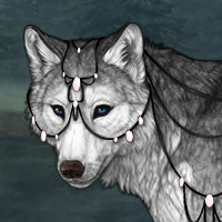 ashfur in wolf form Headshot