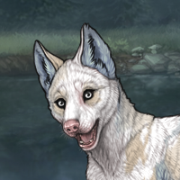 Piebald: Torn Headshot