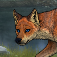 T3 fox female Headshot