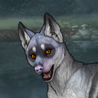 ((Pup))Sell Headshot