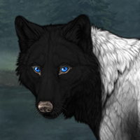 Wolf Headshot