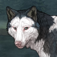 Piebald Frontal F Headshot