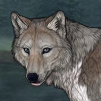 Zerdava Headshot