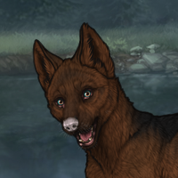 New Puppy - M - stats 337 Headshot