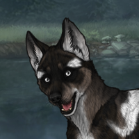 Pup - Black Tier I Headshot