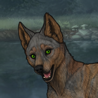 Enclave Puppy Headshot