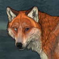 Het eyed fox Headshot