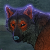 Foxheart Headshot