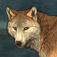 Wolf Headshot