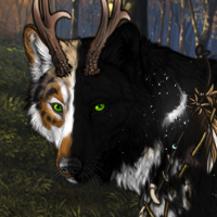 Patches, white whitetail Headshot