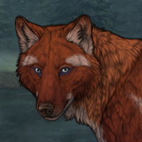 G4 Rufous femael Headshot