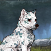 Sell Dalmatian Headshot