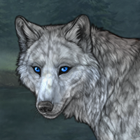 T1 Glaucous Merle F Headshot