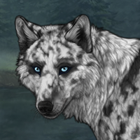 Piebald Headshot