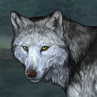 Wolf Headshot