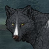 Wolf Headshot