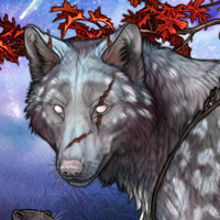 Wolf Headshot