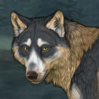 Wolf Headshot