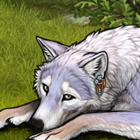 Wolf's Song Headshot