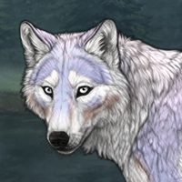 Wolf's Song Headshot