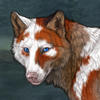 Piebald Headshot