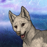 Silver Shepherd Headshot