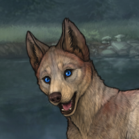 Enclave Puppy Headshot