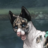 Spdagi piebald Headshot