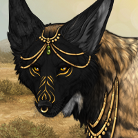 Wolf Headshot