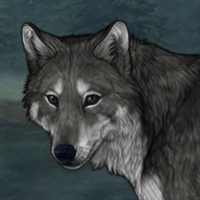wolf 1 Headshot