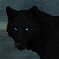 Ansel / 100 (melanistic) Headshot