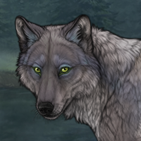 Tundra-Paw Headshot