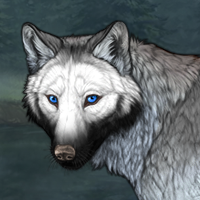 Wolf Headshot