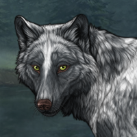 Wolf Headshot