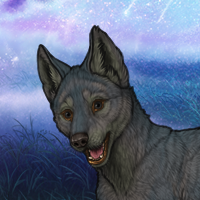 Nocturne pup Headshot