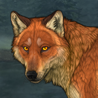 Fox T III, male, Mentor Headshot