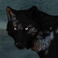 Halgrim Headshot