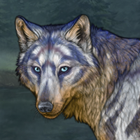 Wolf Headshot