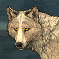 Wolf Headshot