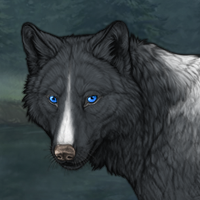 Wolf Headshot