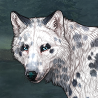 Dalmatian Headshot