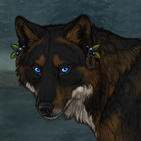 Wolf Headshot