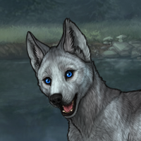 Mel Headshot